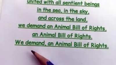 crazy vegan lady demands an animal bill of rights song
