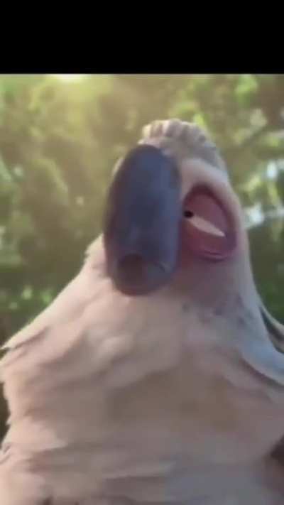 Es igual jajajajajaja