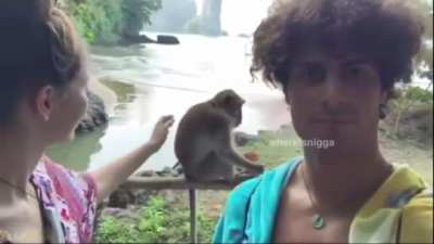 Monke