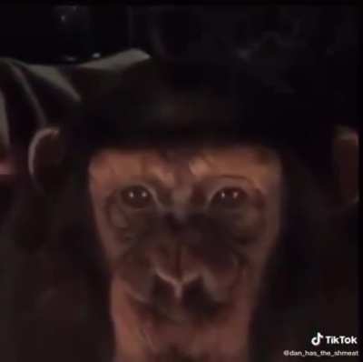 Monke