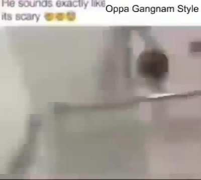 Praise spez 