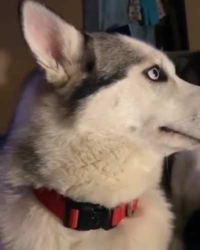 "Это не я"