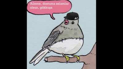 t&uuml;rk&ccedil;e rap olur gibi