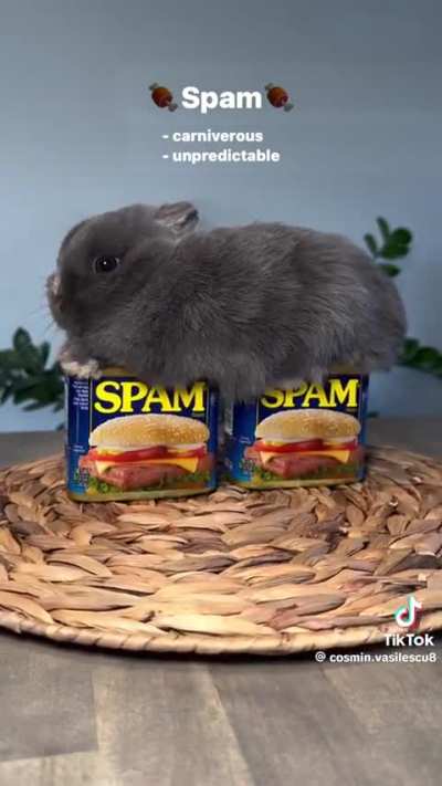 Smash Wunkus