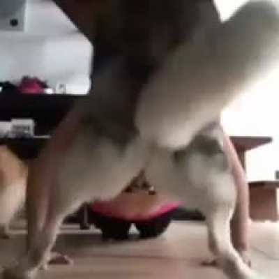 We do this move like this but be careful about...