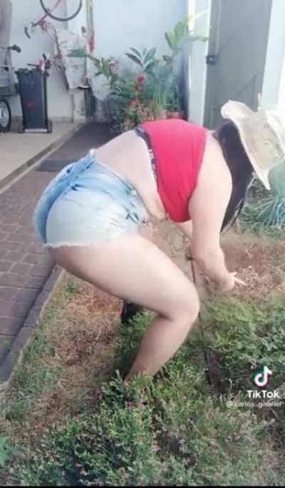 Gardening