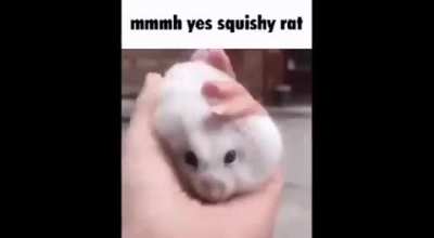 Mmmm yes