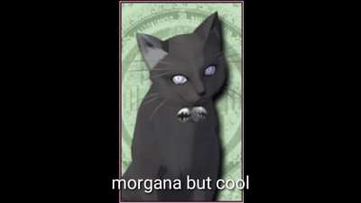 Top 10 Morganas