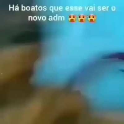 T&aacute; aprovado ?