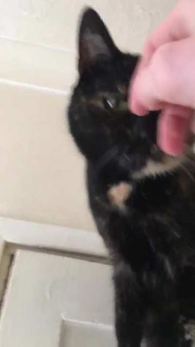She&rsquo;s very vocal