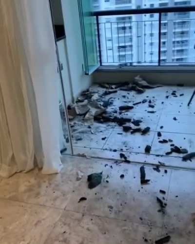 Rip doggo