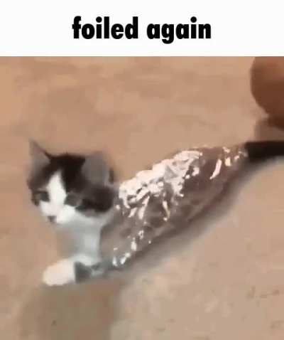 foil