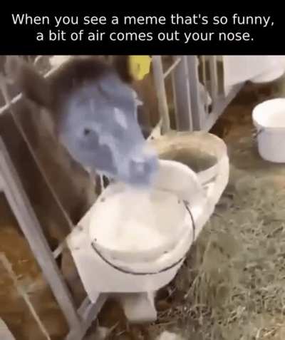 I&rsquo;m literally dying right now.