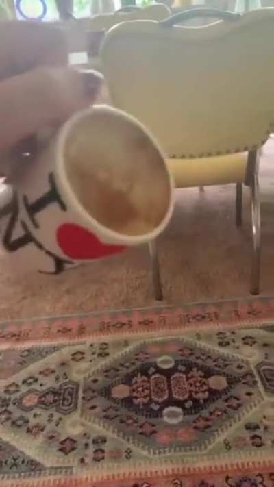 Tipping a cup of coffee over a laptop.
