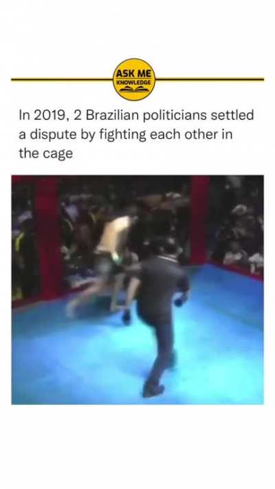 politicos brasileros arreglan disputa en una pelea, &iquest; cuando el bolsonaro vs lula?