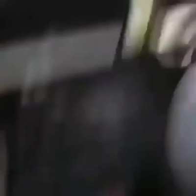 Cock