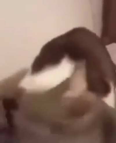 Brother Nooo!