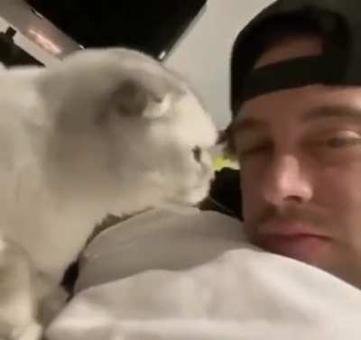 Cats can create cute cries