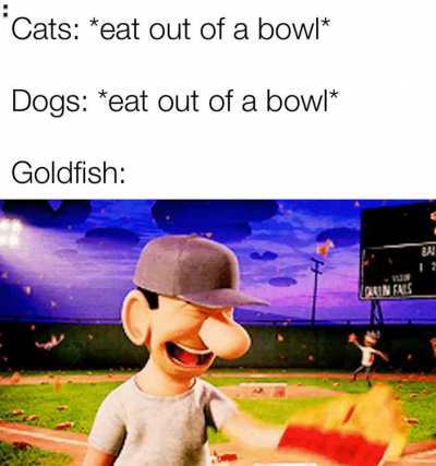 Glub glub my friend