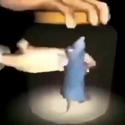 Nooo