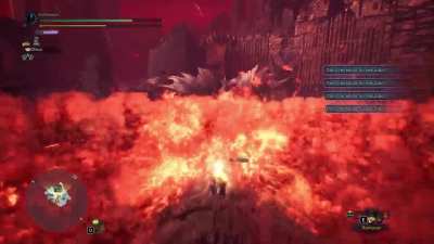 I didn't know that we could survive a Fatalis flame with an SnS. 