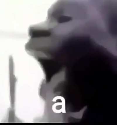 Essa &eacute; a run da masturba&ccedil;&atilde;o q todos fazem &agrave; noite e n&atilde;o adimitem.