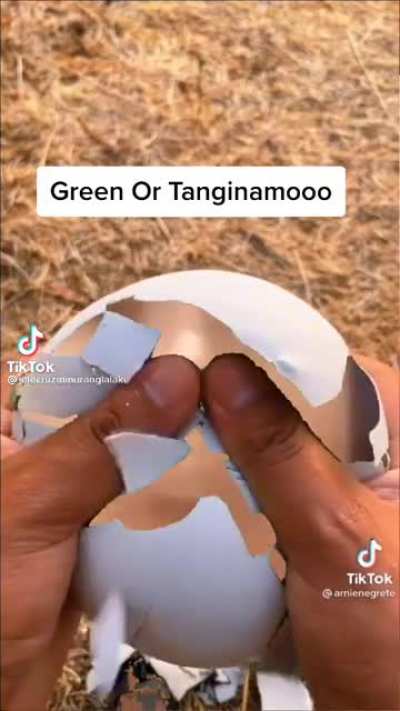 Green or Blue??
