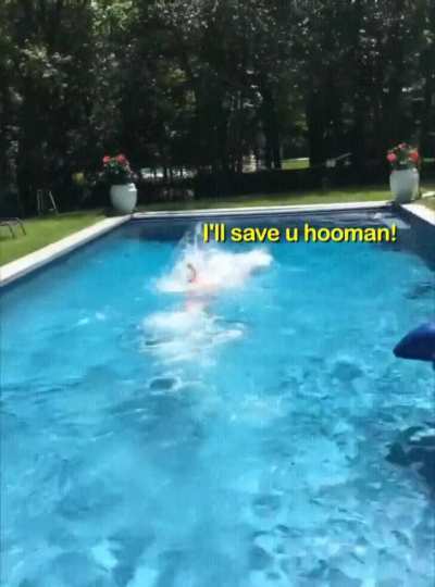 This is funnier every loop