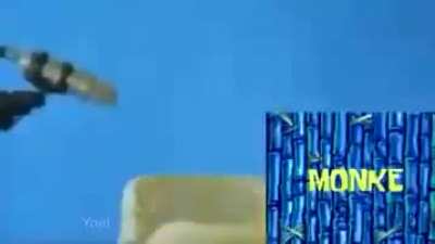 Monkey...