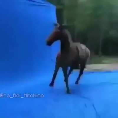 pop it