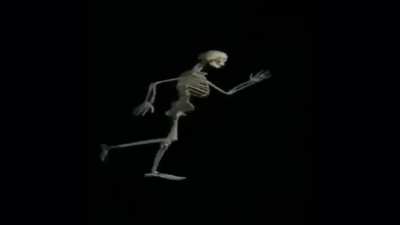 Skeleton