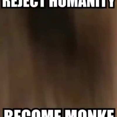 Monke is love, Monke is life&hellip;
