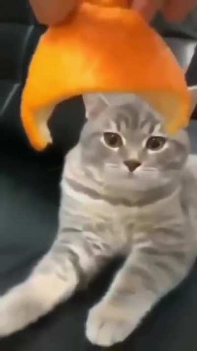 Hmm