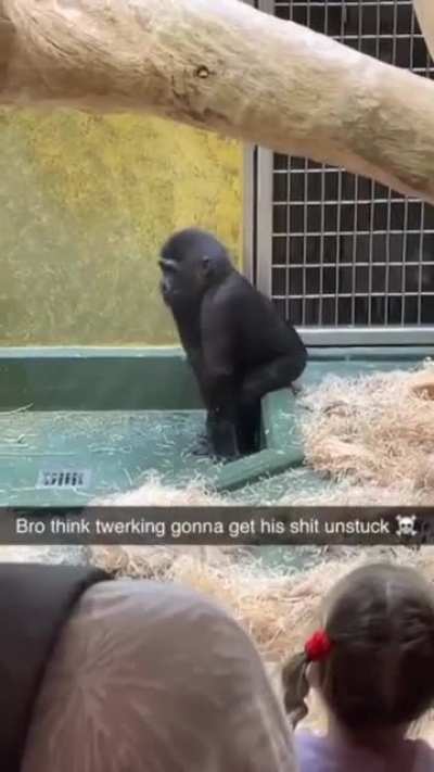 dance moves