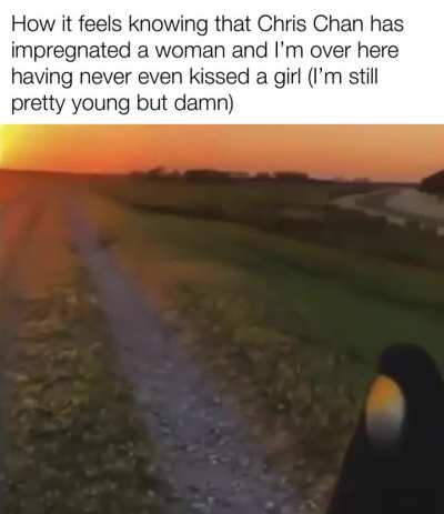 Losercity struggle 