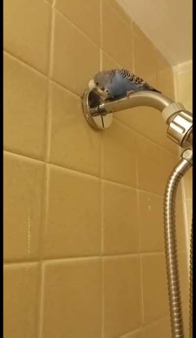 He likes to talk during water :)