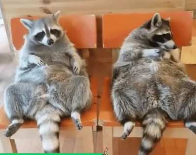Couple of weirdos. Please upvote original from u/Le7enda
