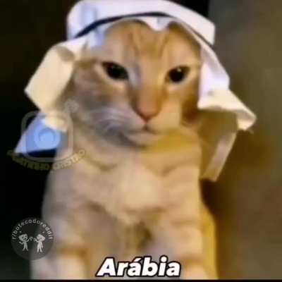Sabadamos! 