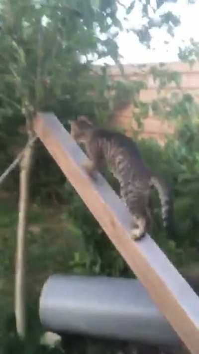 Parkour training