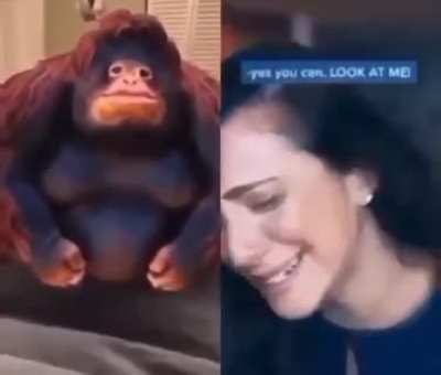Trust monke