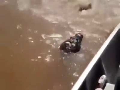Never mess with a man&rsquo;s fish