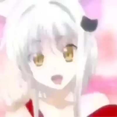 Miau miau miau