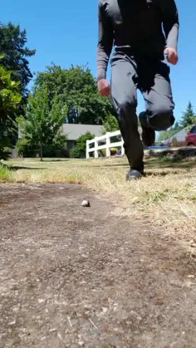 bye