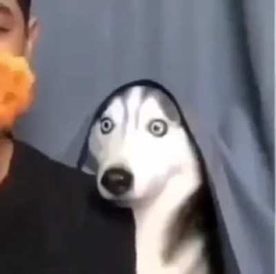 wow