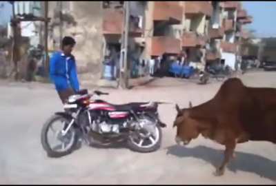 WCGW doing a donut