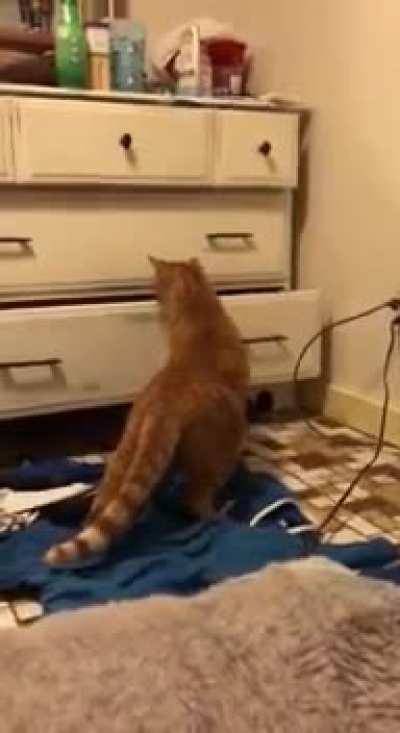 What’s in the drawer?