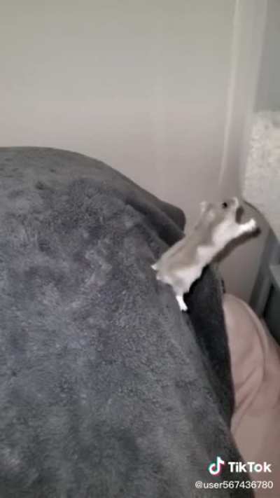 Poor little guy.
