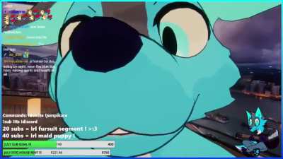 Snout_irl