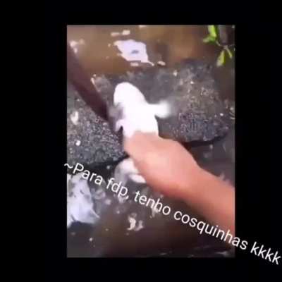 para faz cosca
