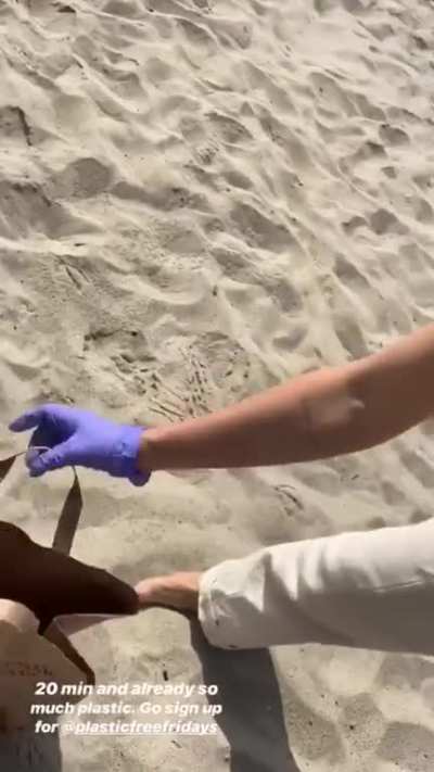 Beach Cleanup